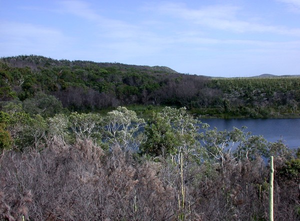 Honeyeater Lagoon